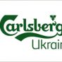 Производитель пива Carlsberg Ukraine выплатит 1,7 млрд грн дивидендов