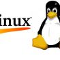 Новый троян для Linux организует ботнеты