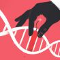 На смену CRISPR идет генное редактирование 2.0