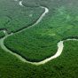 В Перу разрешат строить дороги в нетронутых джунглях Амазонки