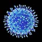 Новый вид иммунотерапии поможет справиться с вирусом гриппа