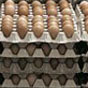 Украина обогнала США по экспорту яиц в Европу