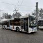 Запорожье получило первые одиннадцать белорусских автобусов