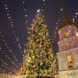 Киевская елка победила в рейтинге лучших рождественских елок Европы