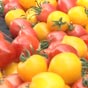 В прошлом году Украина импортировала овощей почти на 20 млн долларов