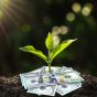 В Верховной Раде инициируют компенсацию экологического налога за экологические программы