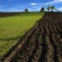 Продуктивность сельскохозяйственных земель в Украине в 6 раз ниже, чем в Германии - Всемирный банк