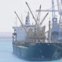 Две транспортных компании успешно провели испытание работы судна на биотопливе