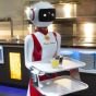 Роботы-официанты: в Нидерландах придумали, как уберечь клиентов ресторана от COVID-19 (фото)