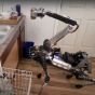 «Домашнюю» версию робопса Spot показали в действии (видео)