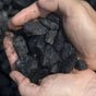 Украина сэкономила $598 млн на угле