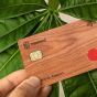 Ecosia инвестировала более миллиона долларов в деревянные платежные карты