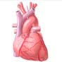 Philips купит производителя оборудования для диагностики сердечных заболеваний за $2,8 млрд