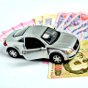 Растаможка авто на еврономерах за тысячу евро: юрист рассказал о нюансах законопроекта
